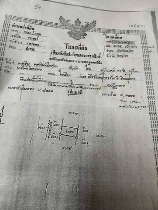 ��ɳ��š �� sopa