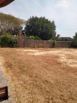 ���Թ �ҧ���ا