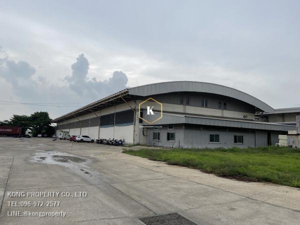 �����ҹ �� Kong property