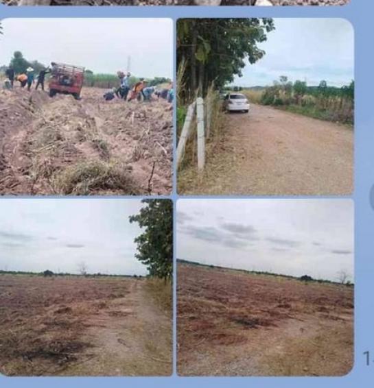 ��ɳ��š �� sopa