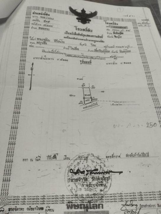 ��ɳ��š �� sopa