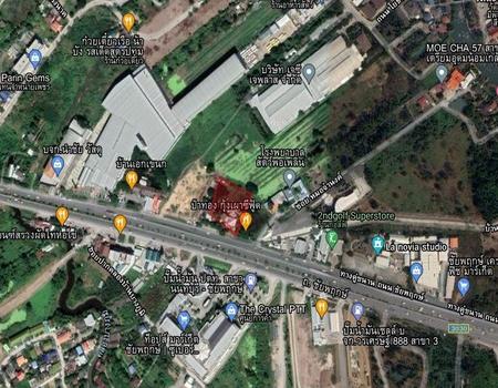 ���Թ���ͧ �� incube