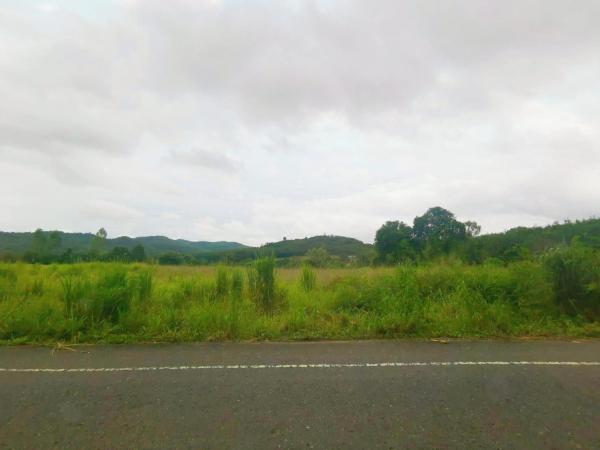 ������ͧ �� goodlada24