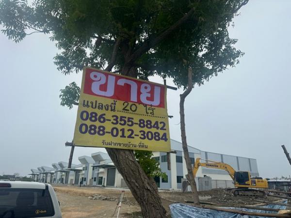 �� �� zionasset1