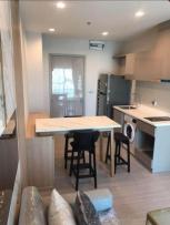 �͹� ���⢹�