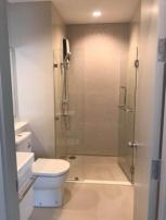 �͹� ���⢹� 50 ���ҧ����