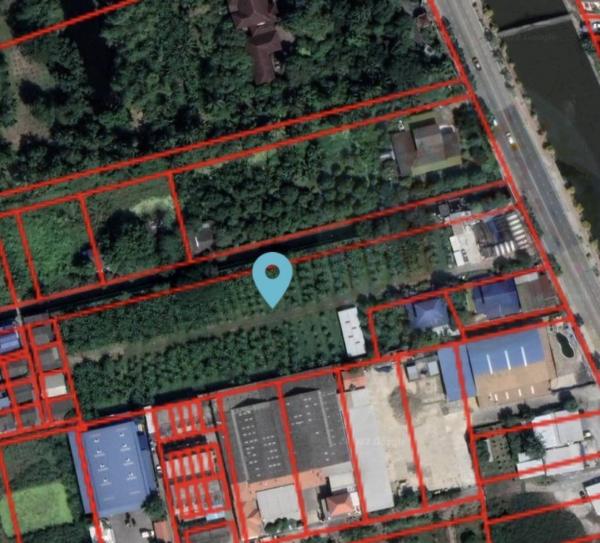 ที่ดิน 5 ไร่ ที่ดิน 5 ไร่