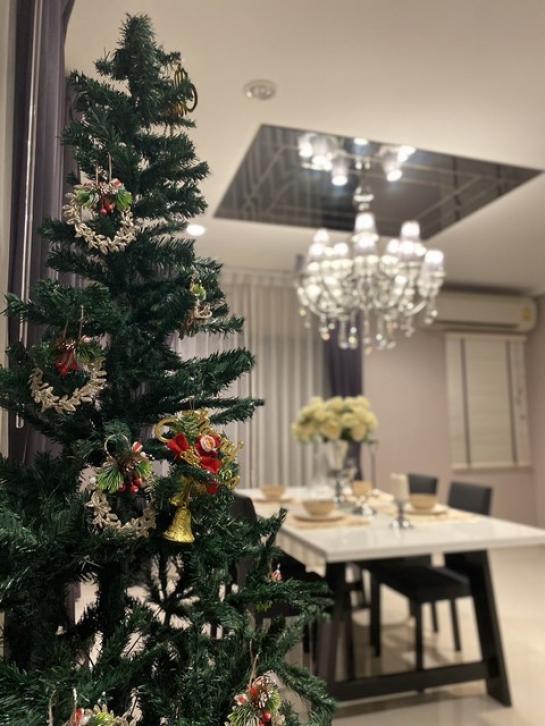 �ǹ��ǧ �� ��ͼ��