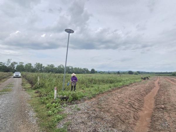 �ҭ������ �� sopa