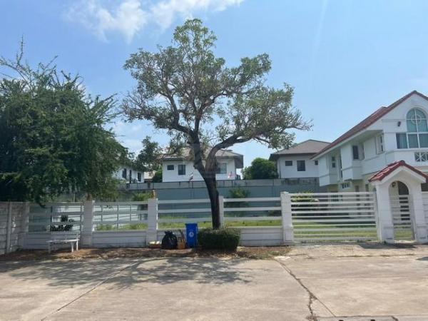 ��»����� �� coasset22