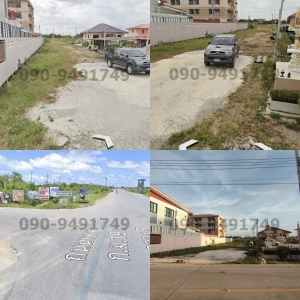 �ҧ�� �� All Living