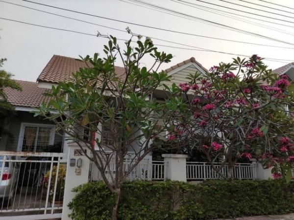 ������� �� onanong khumaphao