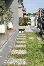 ��ҹ 50.30 ���ҧ�Һҧ���� �������