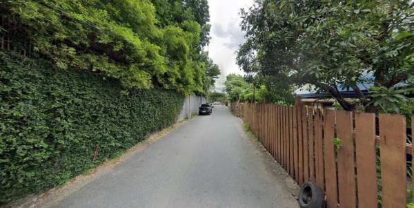 �ǹ��ǧ �� HarrisonTH