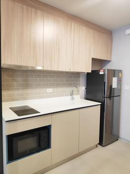 ���� �� incube