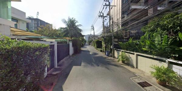 ����Ѳ�� �� HarrisonTH