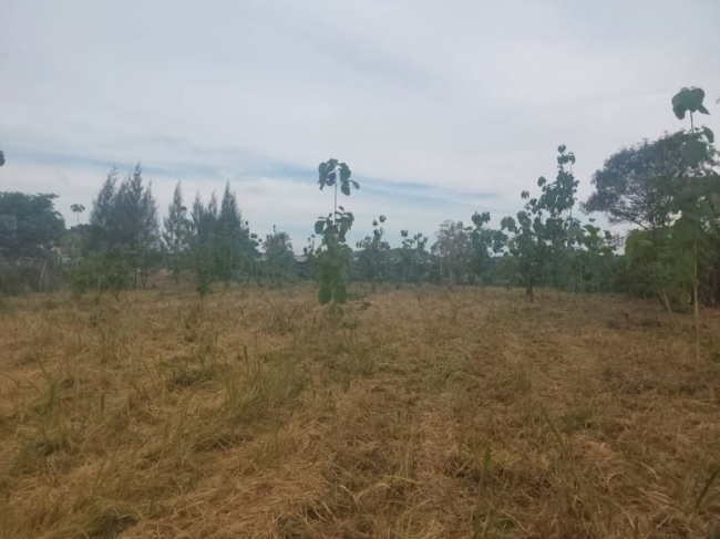 �ѵ�պ �� A House property