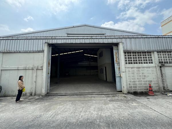 ��ا෾ �� Jenpong