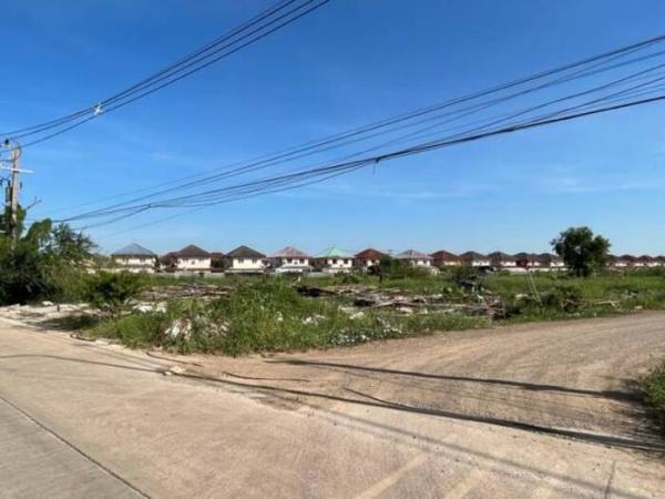 ���Թ Lotus 8 ���