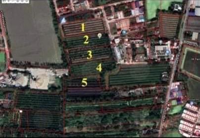 ��¹�û�� �� Support_Condo_I