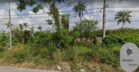 �ź��� �� incube