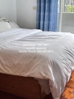 ������ �͹� �Ҫ���