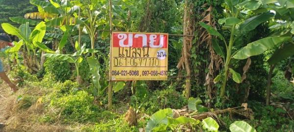 ������ �� zionasset1