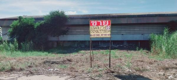 ������ �� zionasset1