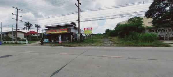 ������ �� zionasset1