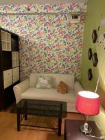 �͹� �ҧ��