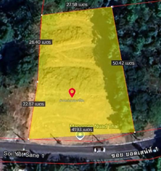 ���� �� kulchaya1