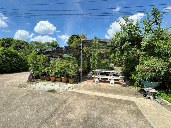 �ҧ� �� amaraphat78