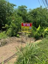 ��·��Թ �Ҥһ�С�Ȣ�� 35,000,000 �ҷ