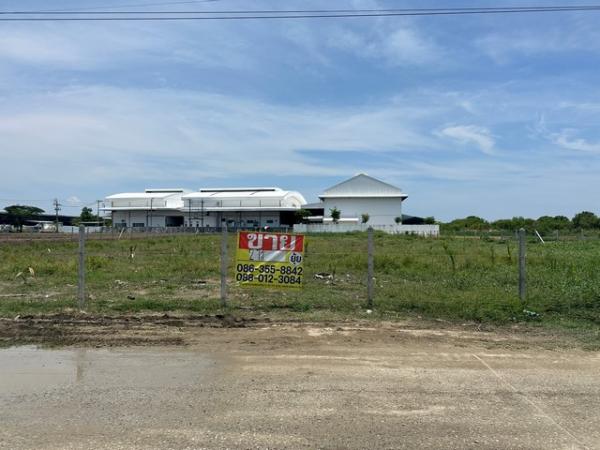 ������ �� zionasset1