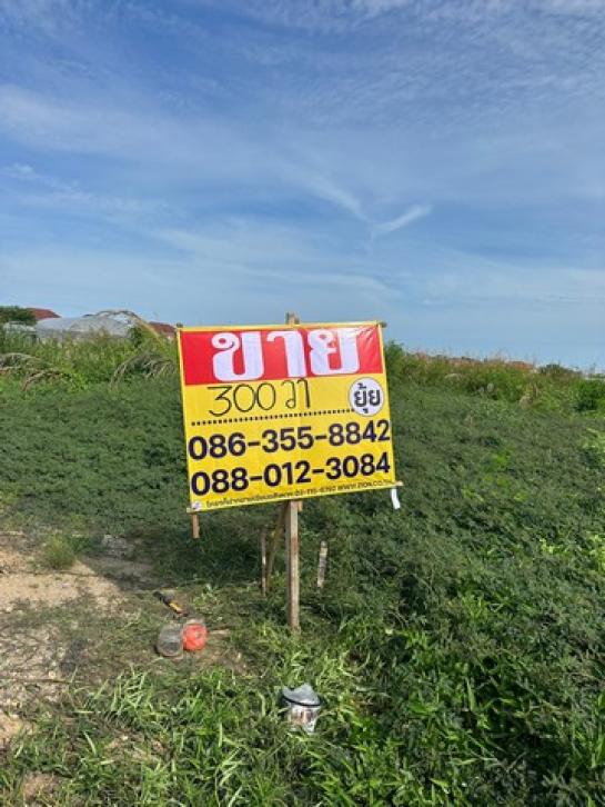 ������ �� zionasset1