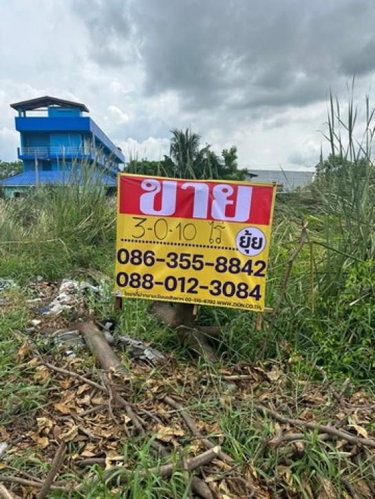 ��ا෾ �� zionasset1