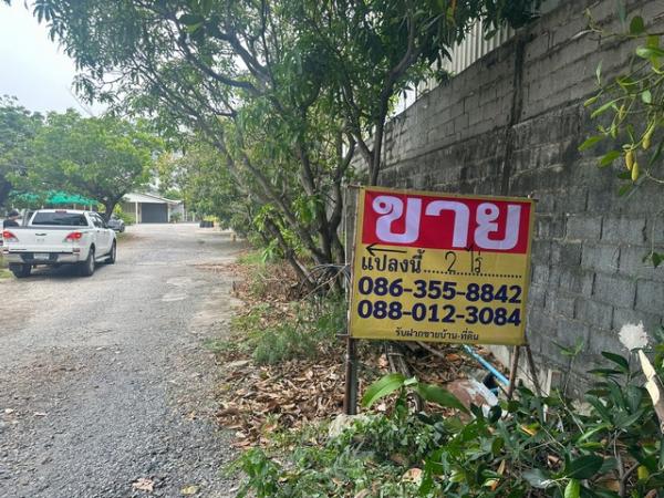 ������ �� zionasset1