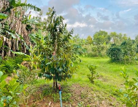 ��¨ѹ����� �� Support_Condo_I