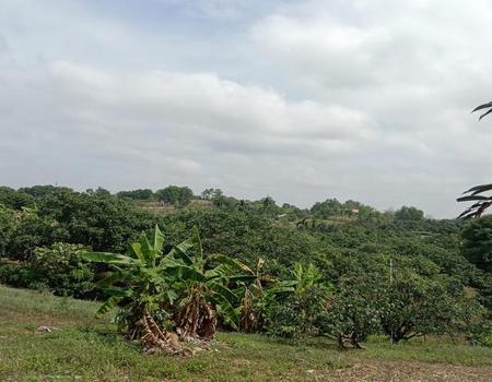 ��¨ѹ����� �� Support_Condo_I