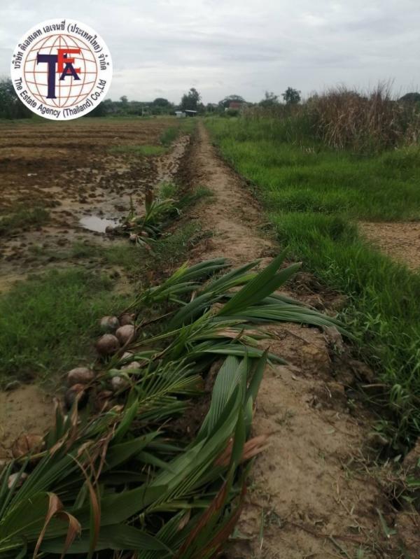 ��û�� �� TheEstate78924