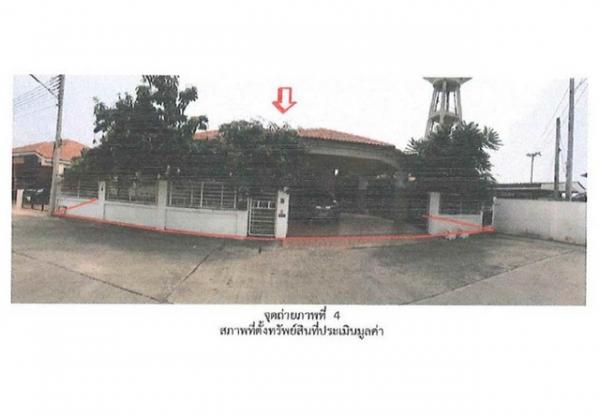 ��ɳ��š �� compos2566