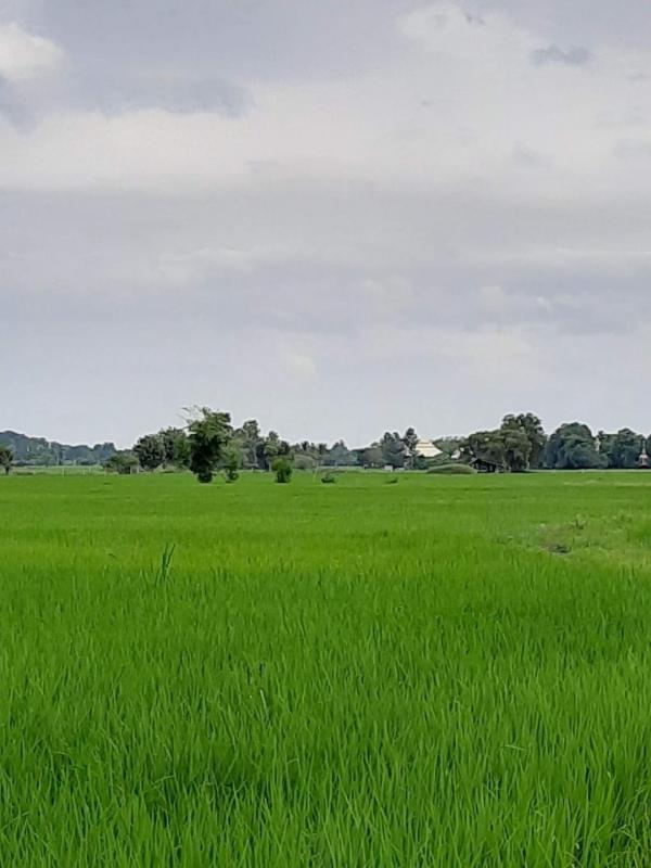 ������ �� northern1