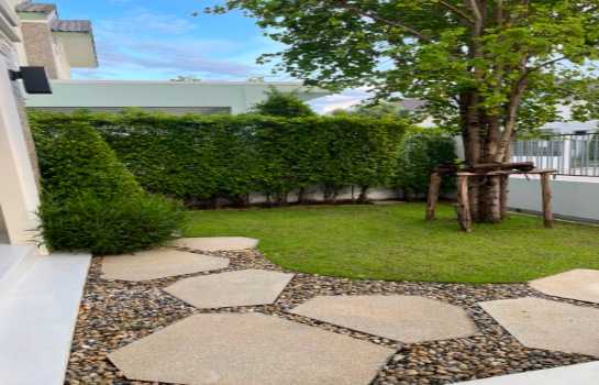 ��ҹ���������ͧ�ѡ��� �ҧ���