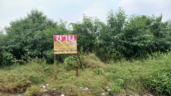 ������ �� zionasset1