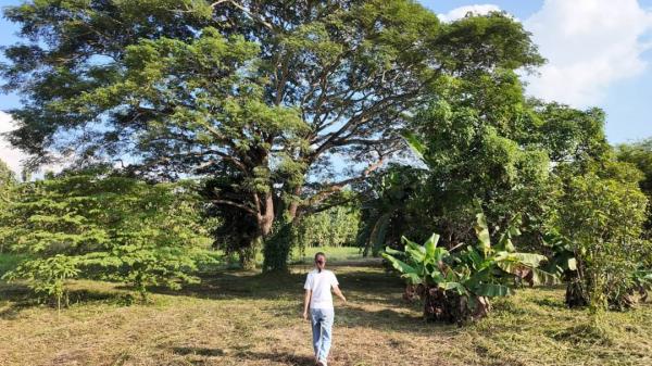 �ѹ���� �� Sawasdee