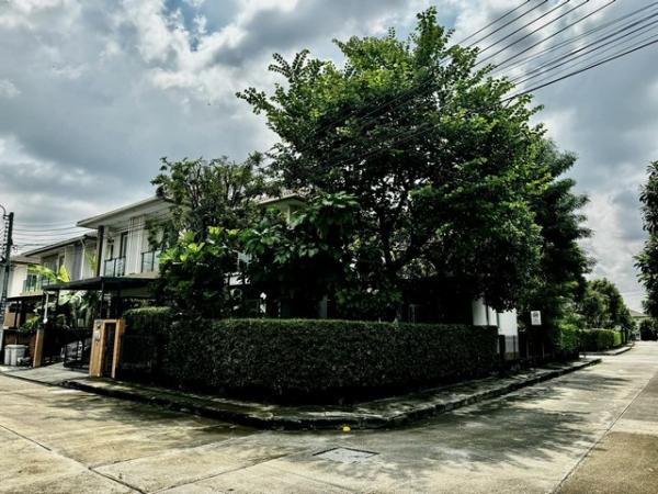 ����ǹ��ǧ �� asangha PL