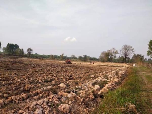 ที่ดิน ใกล้เทศบาลตำบล ที่ดิน ใกล้เทศบาลตำบล