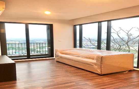 �͹�123 60.65 ���ҧ����