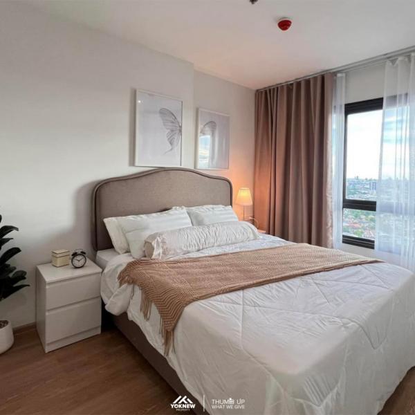 �ҧ�л� �� Yoknew Property