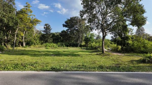 �ѹ���� �� Sawasdee